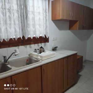 a small kitchen with a sink and a sink at Colors Apartments Pilio in Afissos
