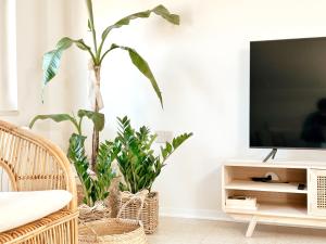 a living room with two potted plants and a tv at Tabbihome Apartments - Costa dei Trabocchi in Paglieta