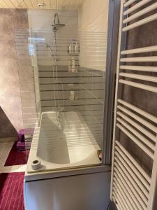 a shower with a glass door in a bathroom at Appartement Le Patio in Chauvigny