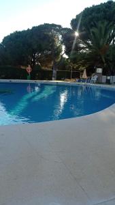 una gran piscina azul con árboles en el fondo en Casa Alma, en Campano