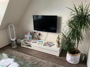 a flat screen tv on a wall with two potted plants at Ferienwohnung-Am-Sternbusch in Hau