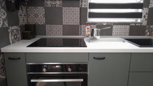 uma cozinha com um lavatório e uma bancada em Apartments & Room Danijel em Pinezici