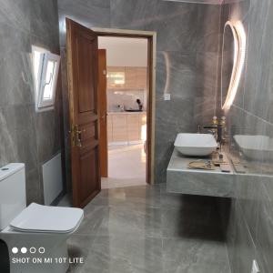 a bathroom with a toilet and a sink and a mirror at Colors Apartments Pilio in Afissos