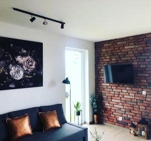 Μια τηλεόραση ή/και κέντρο ψυχαγωγίας στο Domki Loft nad Stawem 4 dorosłych , 4 dzieci