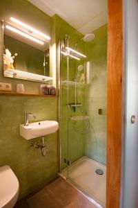 a bathroom with a glass shower and a sink at Das haus in spay an der Mosel mit Sauna in Zell an der Mosel