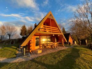 a cabin with a triangular roof on the grass at Mountain view cottage in Kamnik