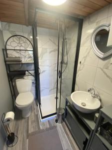 a bathroom with a toilet and a shower and a sink at NOCLEGI AGRO-RELAX in Kozielice +44 photos
