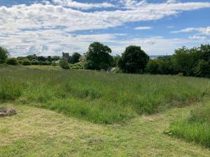 a field of tall grass with trees in the background at Lower Marsh Farm in Cornwall in Saltash