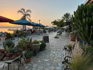 a street with a lot of cacti and plants at Gialova garden bungalow in Gialova