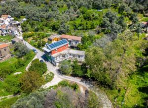 an aerial view of a house in a forest at Zois Stone House in Kántanos