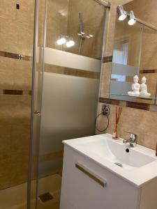 a bathroom with a sink and a shower at HABITACION BAÑO COCINA JARDIN Y PARKING in Erandio