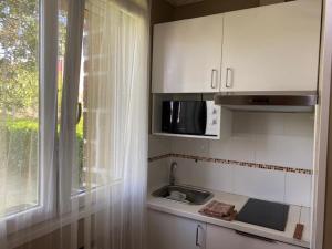 een keuken met een wastafel, een magnetron en een raam bij HABITACION BAÑO COCINA JARDIN Y PARKING in Erandio