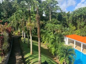 an aerial view of a yard with palm trees and a house at Jardin Secret in Petit-Bourg