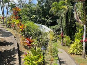 a garden with many plants and a street light at Jardin Secret in Petit-Bourg +3 photos