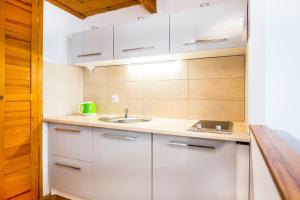 Kuchnia lub aneks kuchenny w obiekcie Miodowa Kazimierz Apartment