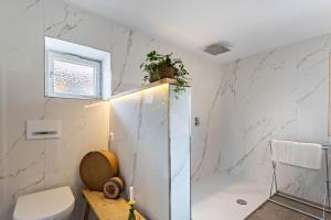 a bathroom with a shower and a toilet and a window at Haus Alpenveilchen - Appartement 3 in Schönau am Königssee