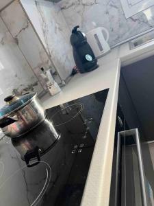 a kitchen counter with a pot on top of it at Sissi Olive home in Sissi