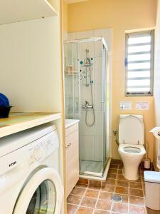 a bathroom with a toilet and a shower and a washing machine at Maniata Holiday Apartments in Andipáta Erísou