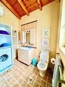 a bathroom with a toilet and a sink and a washing machine at Maniata Holiday Apartments in Andipáta Erísou
