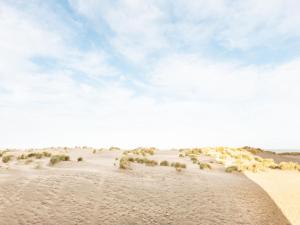 Náttúran í nágrenni íbúðarinnar