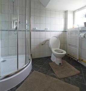 a bathroom with a toilet and a shower at Ubytování Pohoda in Třeboň