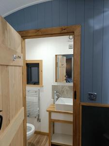 uma casa de banho com um lavatório, um WC e um espelho. em Old Quay Escape em Tenby