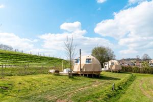 dwa namioty na polu trawiastym w obiekcie Vakantiepark Vinkenhof w mieście Schin op Geul