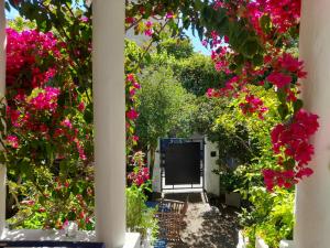 坎城的住宿－Au fil de l eau，享有花园的粉红色花卉美景