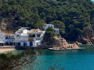 Φυσικό τοπίο κοντά σε αυτό το διαμέρισμα