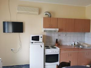 eine Küche mit einem weißen Kühlschrank und einer Mikrowelle in der Unterkunft Apartman KEC - Apatin in Apatin