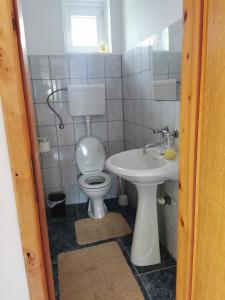 ein Bad mit einem WC und einem Waschbecken in der Unterkunft Apartman KEC - Apatin in Apatin