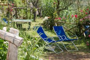 two blue chairs in a garden with flowers at Antico Casale Ruoppo in SantʼAgata sui Due Golfi