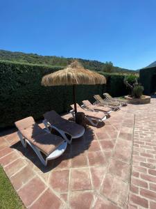 a row of lounge chairs with a straw umbrella at Posada del Moral in Benaoján