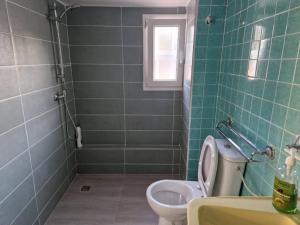 a green tiled bathroom with a toilet and a sink at Studio paisible CDG/Villepinte/Le Bourget in Aulnay-sous-Bois +3 photos