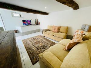 ein Wohnzimmer mit einem Sofa und einem TV in der Unterkunft Casa de Ovil in Baião