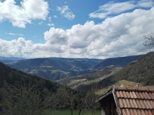 Příroda nedaleko apartmánu + 4 fotografie