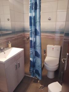 a bathroom with a toilet and a sink and a shower at Acropolis view apartment in Limenas +11 photos
