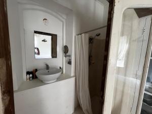 een witte badkamer met een wastafel en een douche bij The Old Priory Beaucaire in Beaucaire