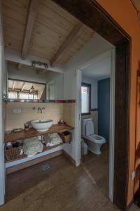 a bathroom with a sink and a toilet at Le Fario Lodge in Patagonia in Parque Nacional Los Alerces