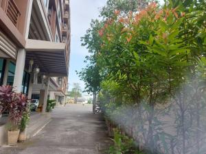 een straat met planten aan de zijkant van een gebouw bij Cat Mama Penthouse Vtwin building A in Chiang Mai