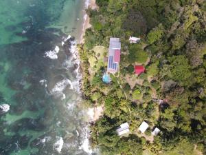 eine Luftansicht eines Hauses an einem Strand neben dem Wasser in der Unterkunft Bird Island Bungalows in Bocas del Toro