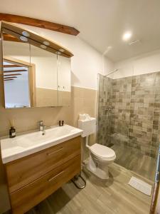 uma casa de banho com um lavatório, um WC e um chuveiro em Boutique Rooms & Winery Žorž em Vipava