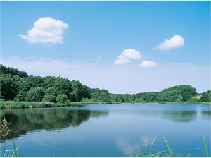 um grande lago com árvores e nuvens no céu em Maris Ferienwohnung Nr 47 em Scharbeutz