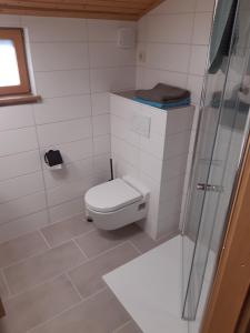 uma casa de banho com um WC e uma cabina de duche em vidro. em Landhof Kützin Ferienhaus 4 Meise 