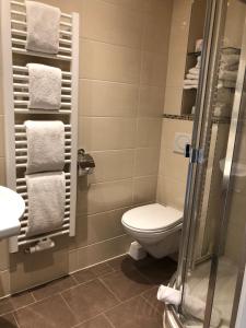 La salle de bains est pourvue de toilettes, d'une douche et de serviettes. dans l'établissement Maris Ferienwohnung Nr 46, à Scharbeutz