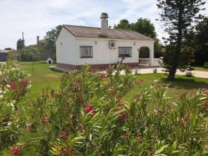 Сад в Casa Francesca, 90 m2, jardin de 1500m2 +8 фотографий