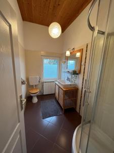 a bathroom with a toilet and a sink and a shower at Apartments and Rooms Kristina in Drežnik Grad +77 photos