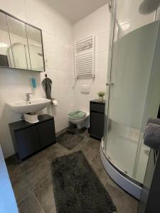 uma casa de banho com um chuveiro, um lavatório e um WC. em Apartment Marielena 2 em Püttlingen