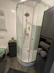 a shower with a glass enclosure in a bathroom at Apartment Marielena 2 in Püttlingen