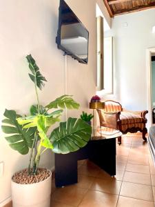a living room with a plant and a desk at Laterano Apartment in Rome
